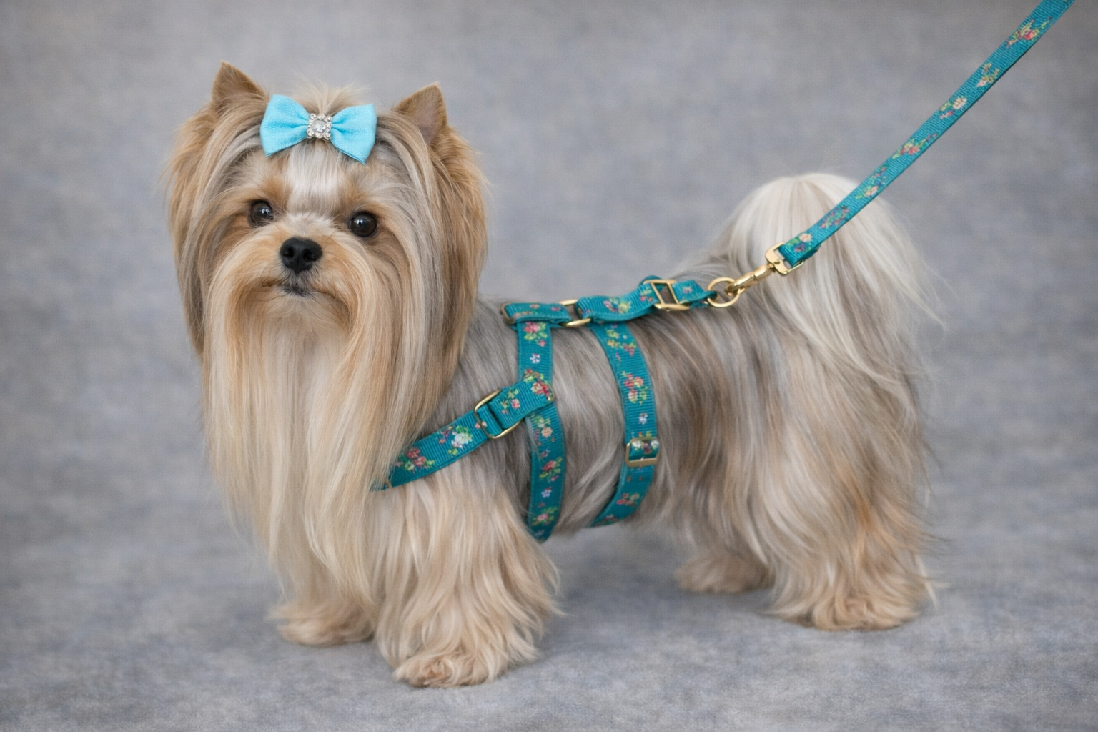 ChatGPT Image 6. 2. 2026, 03_22_24